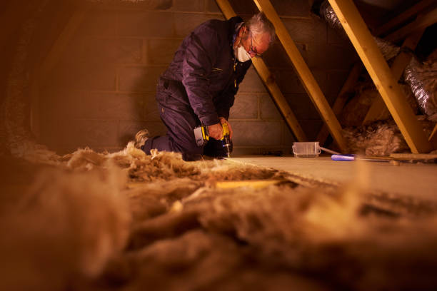 Best Insulation Inspection Services  in Parkwood, CA