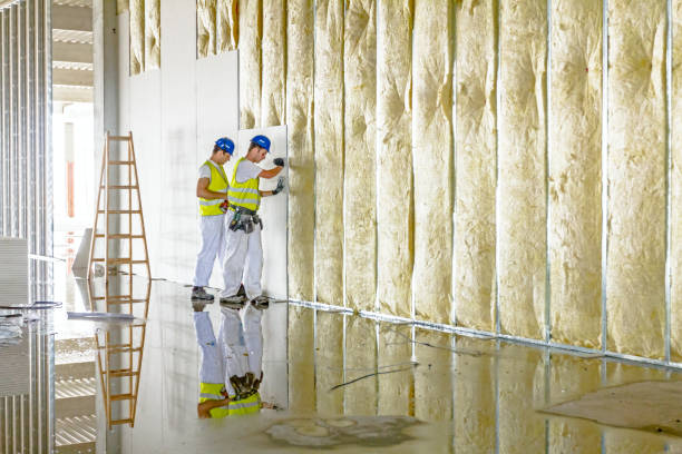 Best Fiberglass Insulation  in Parkwood, CA